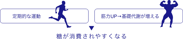 ​適度な運動